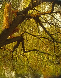 Girls in the Trees - Limited Edition Photographic Art by Christopher Strong